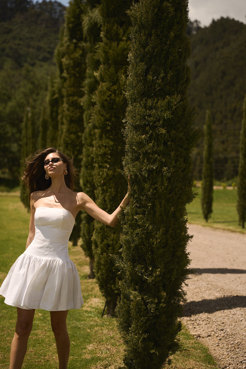 Violeta Dress